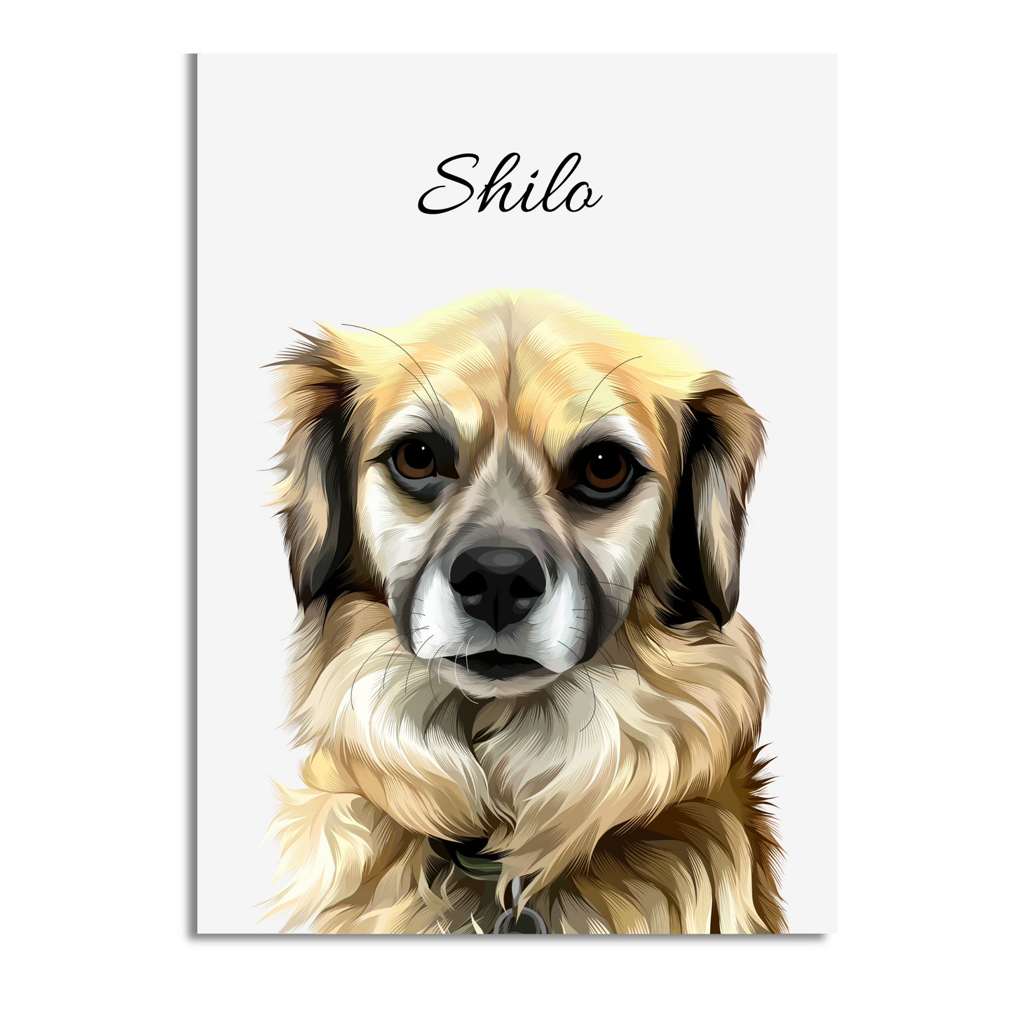Custom Pet Portrait